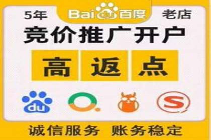 sem竞价开户实战：成功案例解析